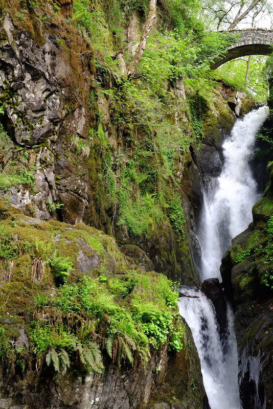 Aira Force