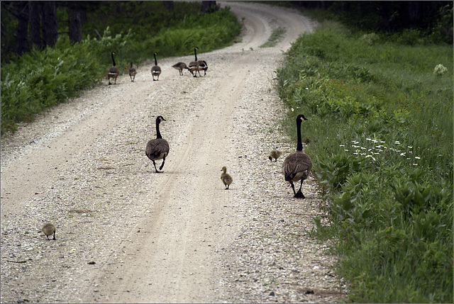 A Friday Afternoon Stroll