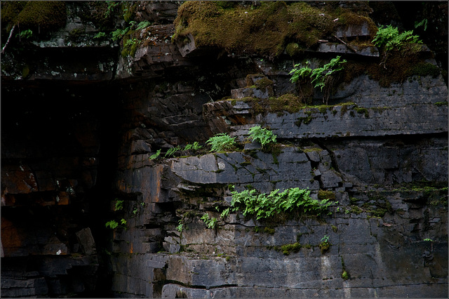 Rock Wall, Canyon Falls