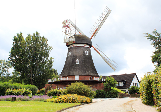 Windmühle in Bederkesa