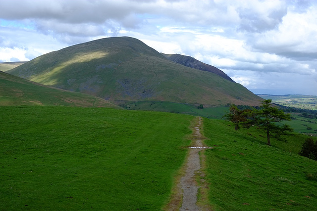 Blencathra from Latrigg