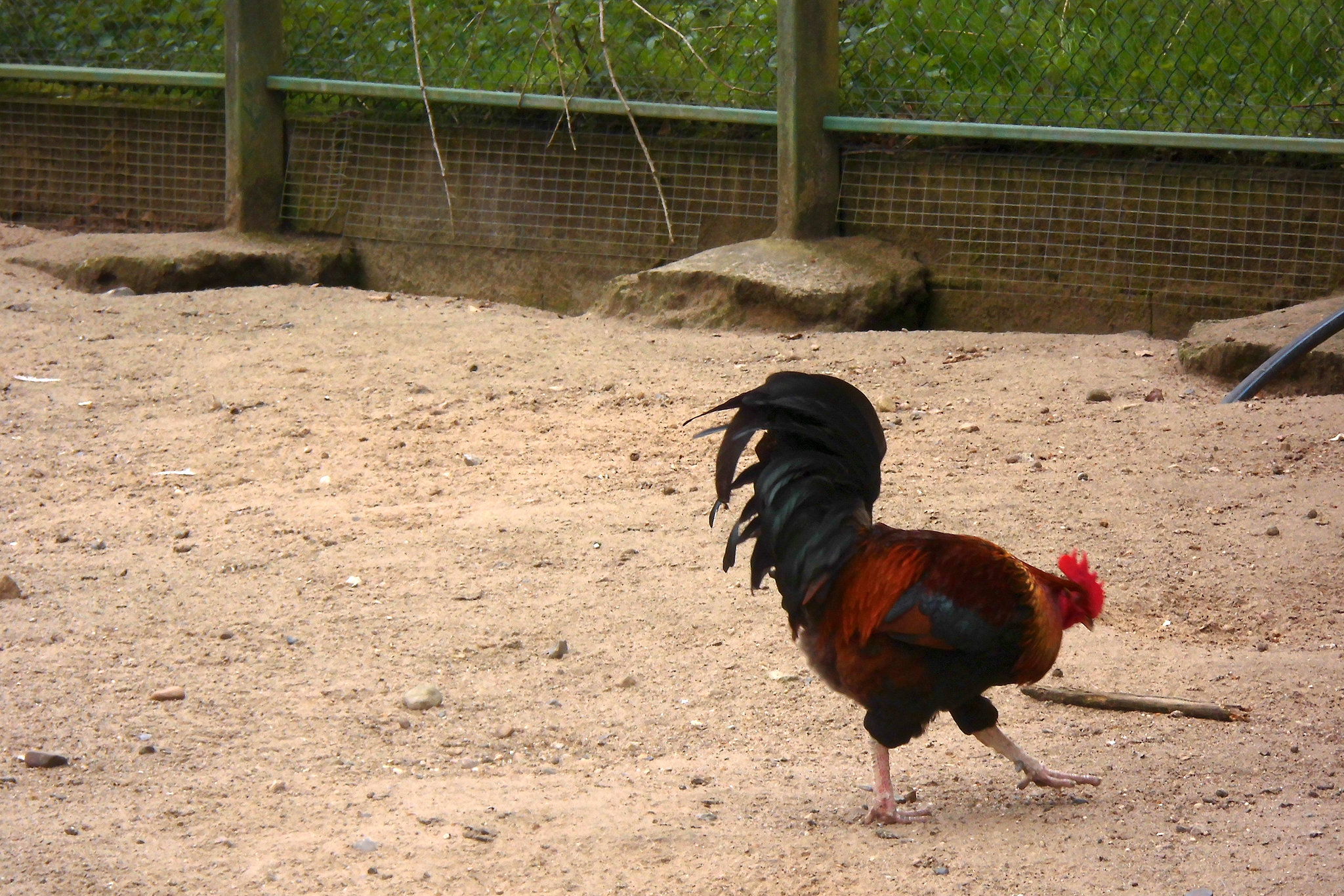 Tierpark Lüneburg