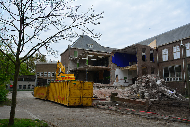 Renovation of the old Anatomy Lab