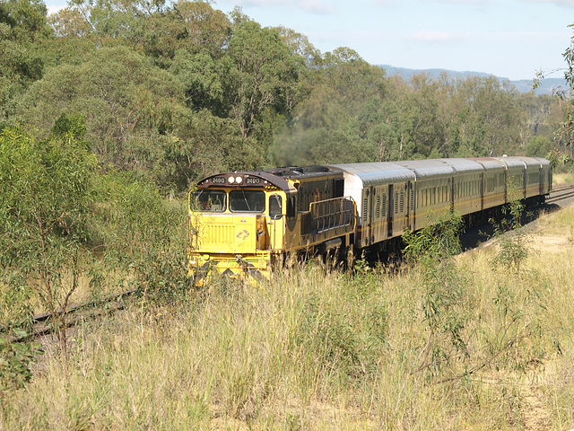 201404WestlanderLockyerValley 003