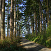 Washington Park