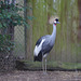 Parc aux oiseaux - Villars les Dombes - Ain