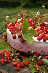 Metsmaasika-kodujuustutort / Wild strawberry cake with cottage cheese