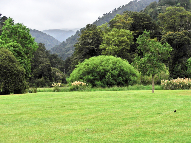 View From The Park.