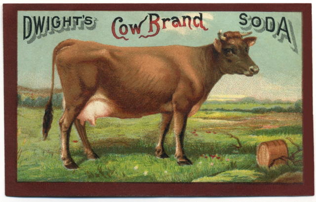 Dwight's Cow Brand Soda