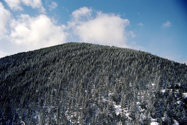 Bighorn Mountains