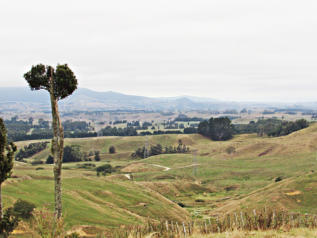 Landscape in Ngaroma Area