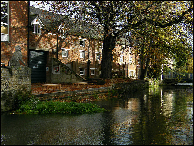 mill stream in November