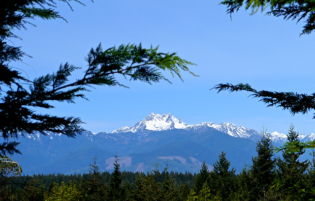 Olympic Mountains