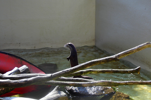 Tierpark Lüneburg