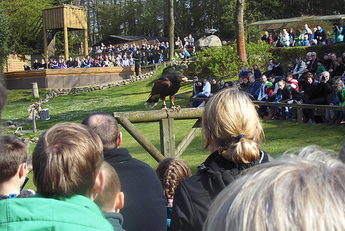 Tierpark Lüneburg