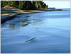 Beach @ Sturgeon Bay Channel Light