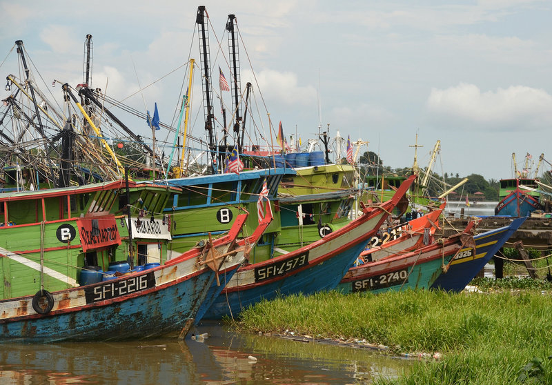 Fishing fleet