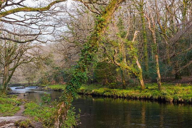 River Dart - 20140326