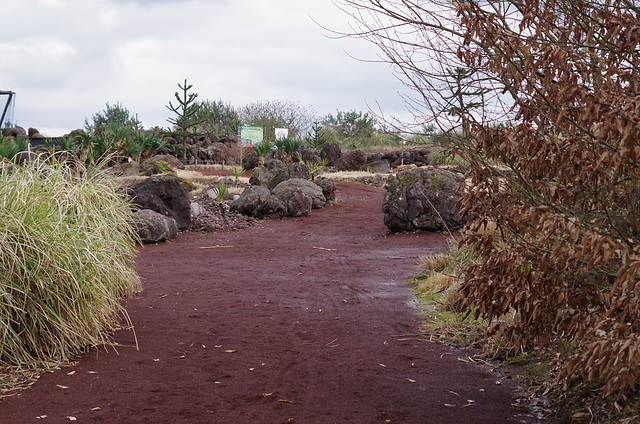 Parc aux oiseaux Villars les Dombes