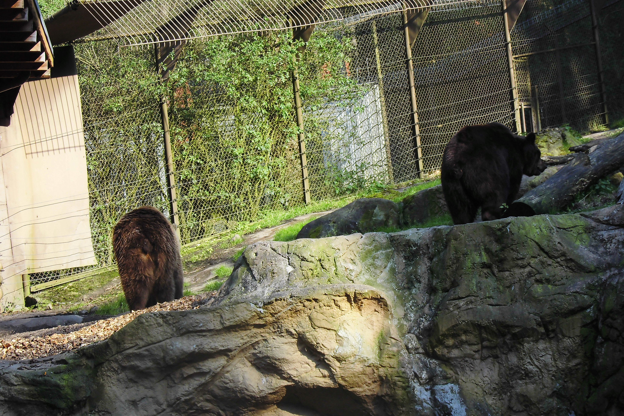 Tierpark Lüneburg