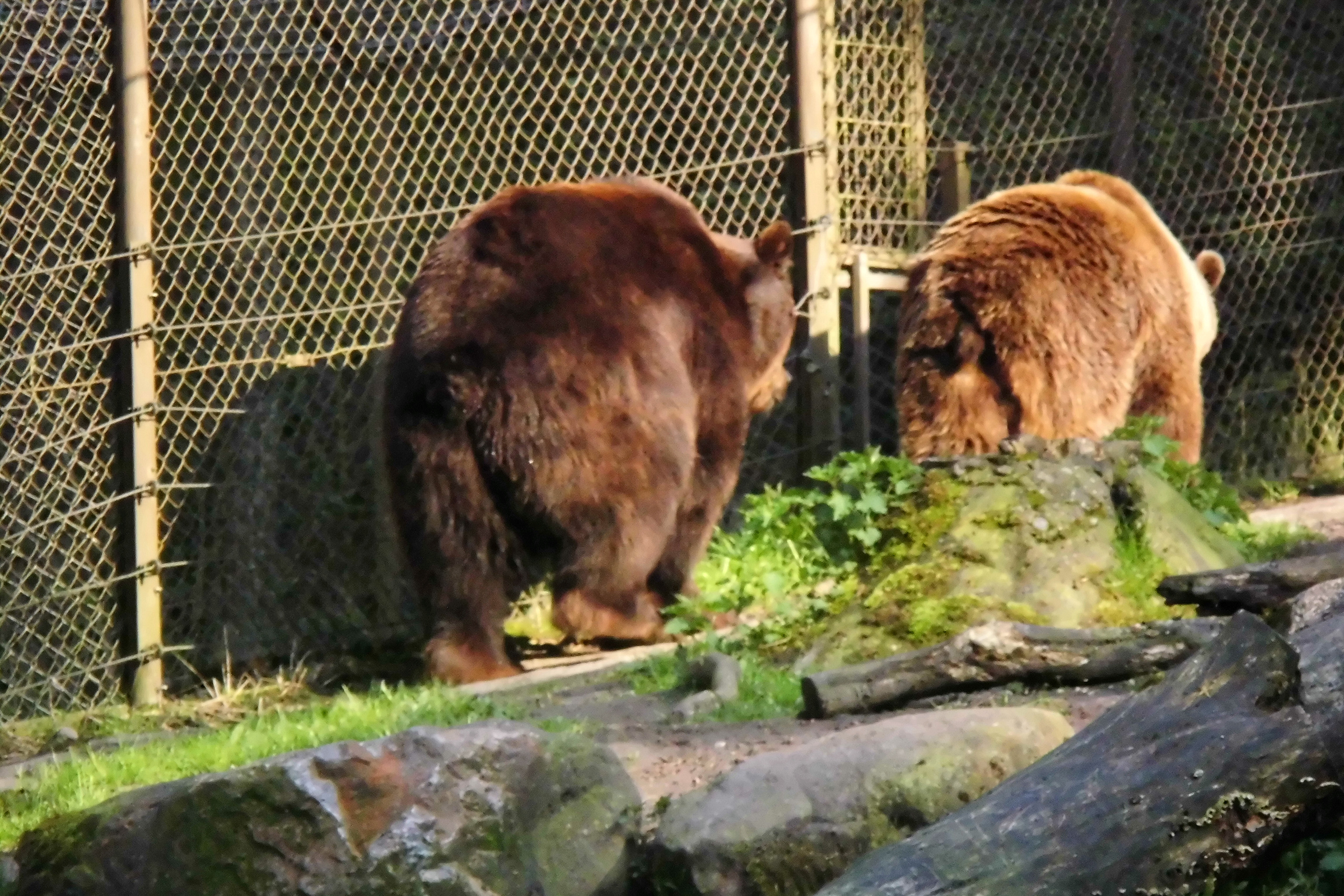 Tierpark Lüneburg