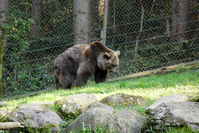 Tierpark Lüneburg