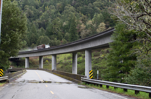 US 101 Avenue of the Giants (1641)