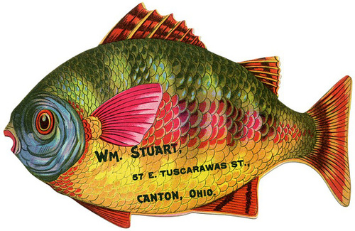 Fishing for Your Business, William Stuart, Canton, Ohio