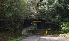 Dyerville Loop NWP overpass (1646)