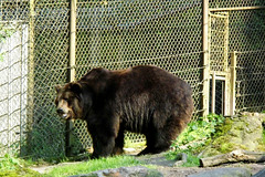 Tierpark Lüneburg