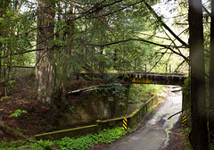 Dyerville Loop NWP overpass (1652) Dyerville Loop NWP overpass (1652)