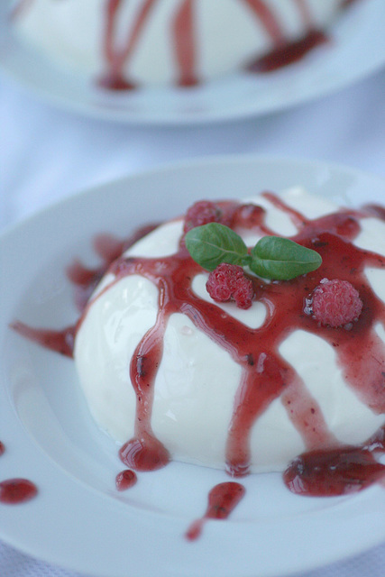 Panna cotta