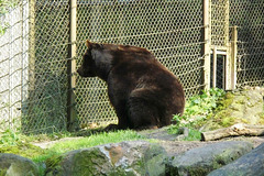 Tierpark Lüneburg