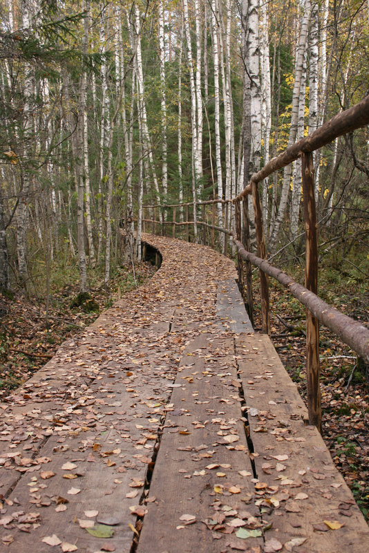 Väike taimerada Pokukoja juurde