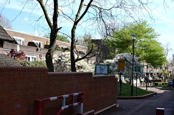 Looking down Anatola Road