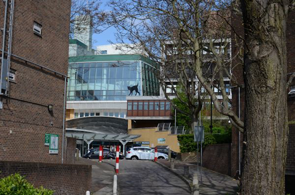 Looking across the road to the Whit