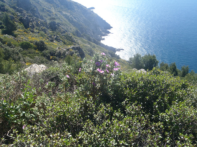 Rando dans le VAR 8 au 11 avril 2014 (15)