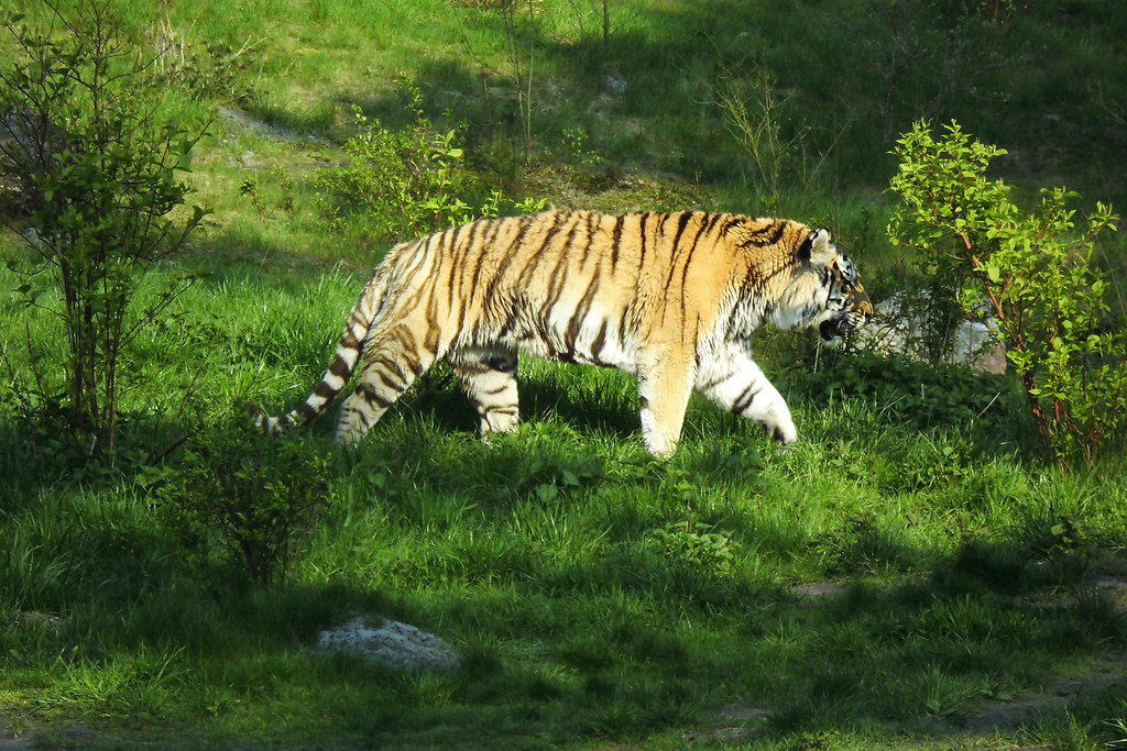 Tierpark Lüneburg