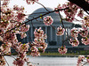 Jefferson Memorial