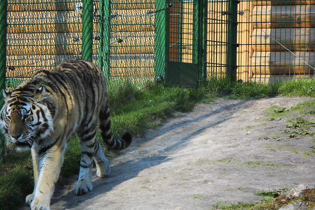 Tierpark Lüneburg