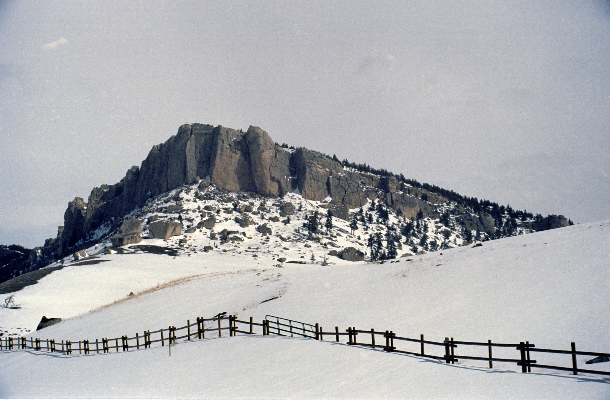 Bighorn mountains, Montana