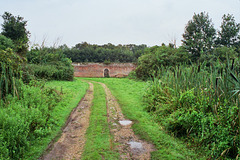 Walled Garden, Livermere Hall, Great Livermere, Suffolk