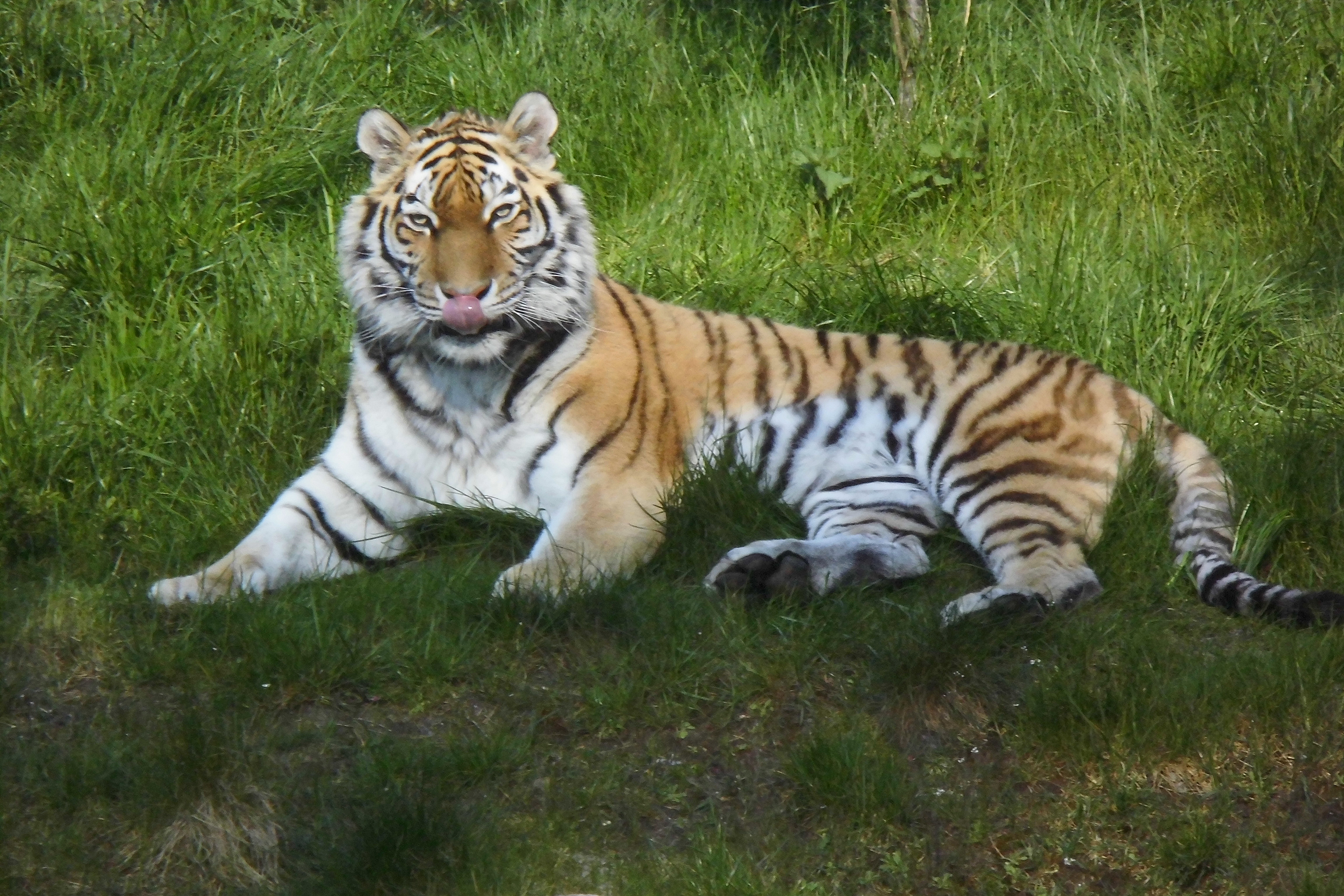 Tierpark Lüneburg