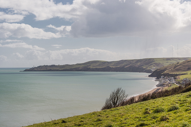 Beesands - 20140323