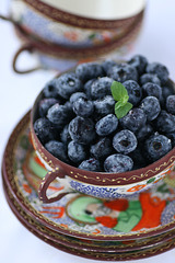 Mustikad / Blueberries