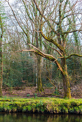 River Dart - 20140326