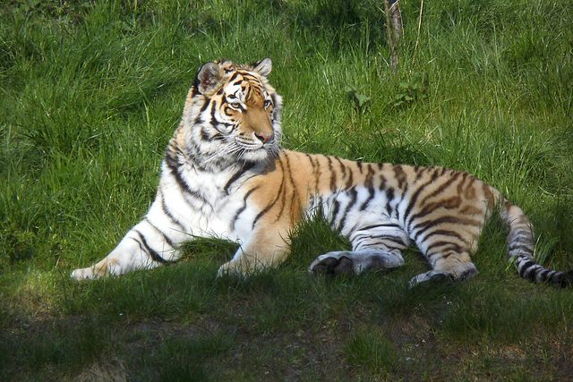 Tierpark Lüneburg