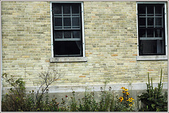 Windows & Bricks, with Butterfly