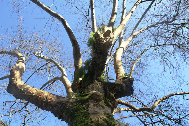 Quinta da Regaleira