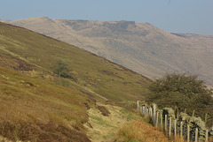 IMGP7814